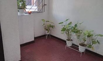 Departamento de dos ambientes con patio